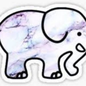 Meet your Posher, Hailey